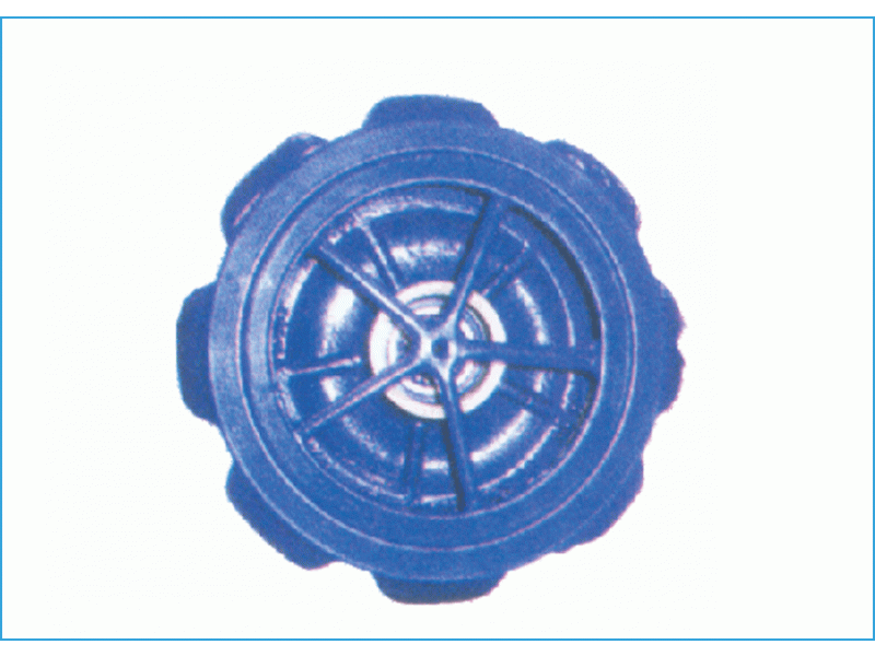 Válvulas de Retenção de Fechamento Rápido